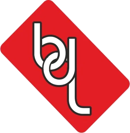 Bindals Papers Mills Ltd